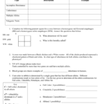 Patterns Of Heredity Worksheet As Well As Patterns Of Inheritance Worksheet Answers