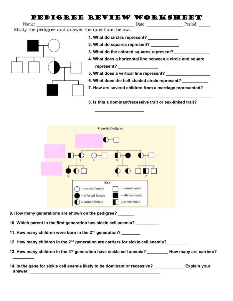 Pedigree Review Worksheet Together With Sickle Cell Anemia Pedigree Worksheet