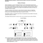 Pedigree Worksheet Along With Sickle Cell Anemia Worksheet Answers