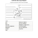 Phase Change Worksheet Answers  Briefencounters Intended For Phase Change Worksheet Answer Key