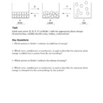 Phase Changes  Pogil Pages 1  4  Text Version  Fliphtml5 Throughout Phase Change Worksheet Answer Key