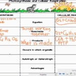 Photosynthesis And Cellular Respiration Worksheet Answer Key For Scatter Plots And Lines Of Best Fit Worksheet