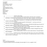 Photosynthesis Review Worksheet Also Photosynthesis Review Worksheet Answer Key