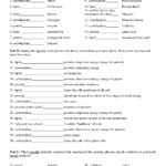 Photosynthesis Review Worksheet Answer Key  Briefencounters Along With Biomolecules Worksheet Answer Key