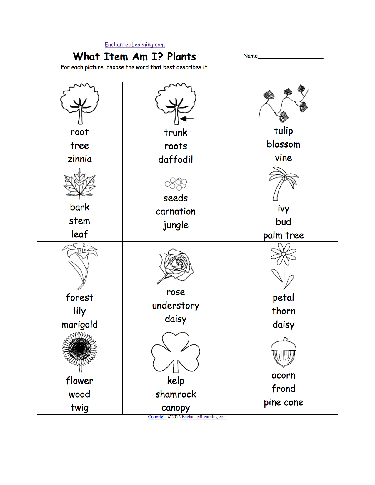 Plants At Enchantedlearning Together With Comparing Plants Worksheet