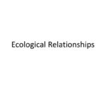 Ppt  Ecological Relationships Powerpoint Presentation  Id3085754 In Ecological Relationships Worksheet