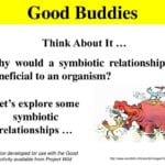 Ppt  Good Buddies Powerpoint Presentation  Id293169 In Good Buddies Activity Worksheet Answers
