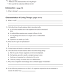 Prentice Hall Biology Worksheets Intended For Characteristics Of Living Things Worksheet