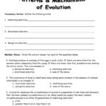 Preschool Worksheets  Outstanding Natural Selection Worksheetswer For Darwin039S Natural Selection Worksheet Answers