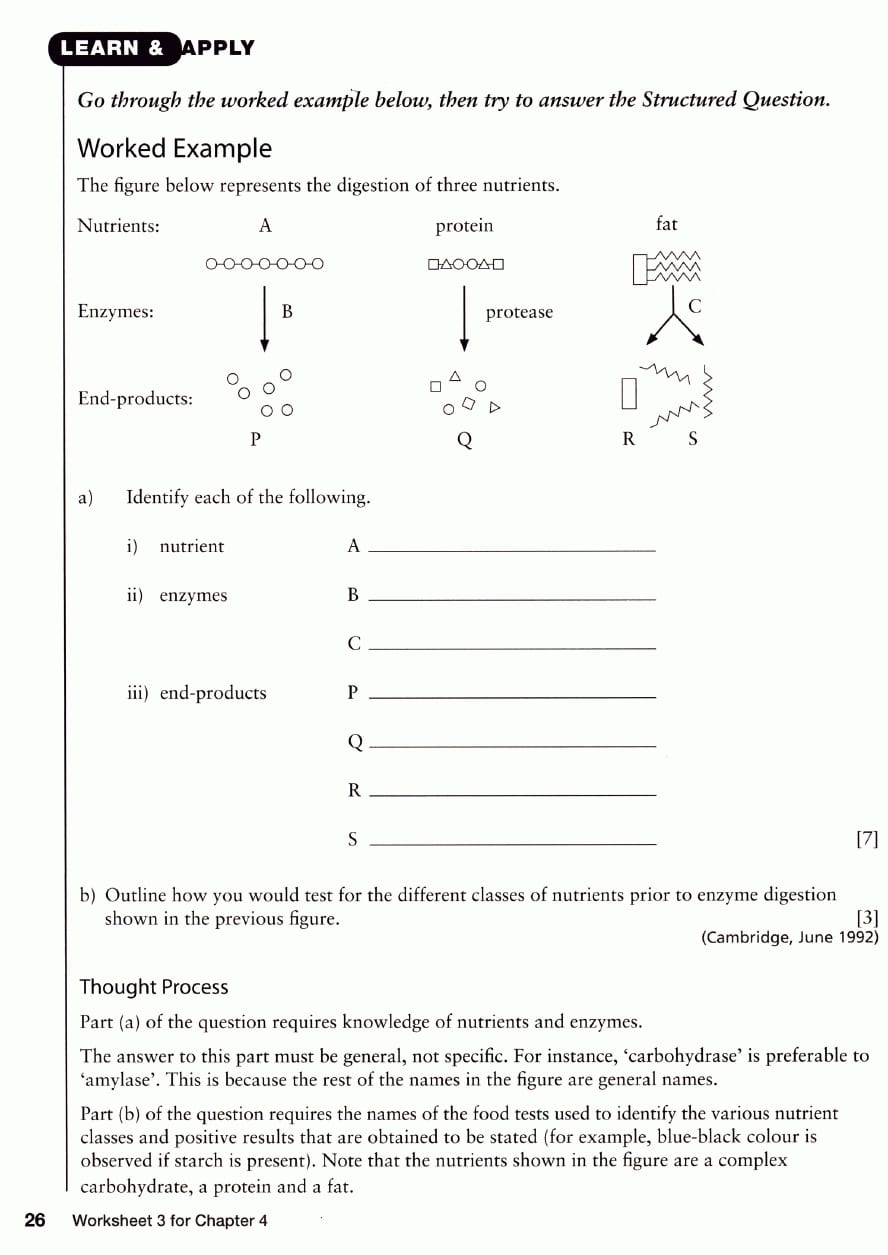 Printables 10Th Grade Biology Worksheets Lemonlilyfestival With 10Th Grade Biology Worksheets With Answers