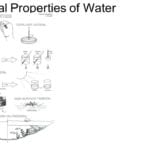 Properties Of Water Worksheet The Best Worksheets Image Collection Together With Unusual Properties Of Water Worksheet