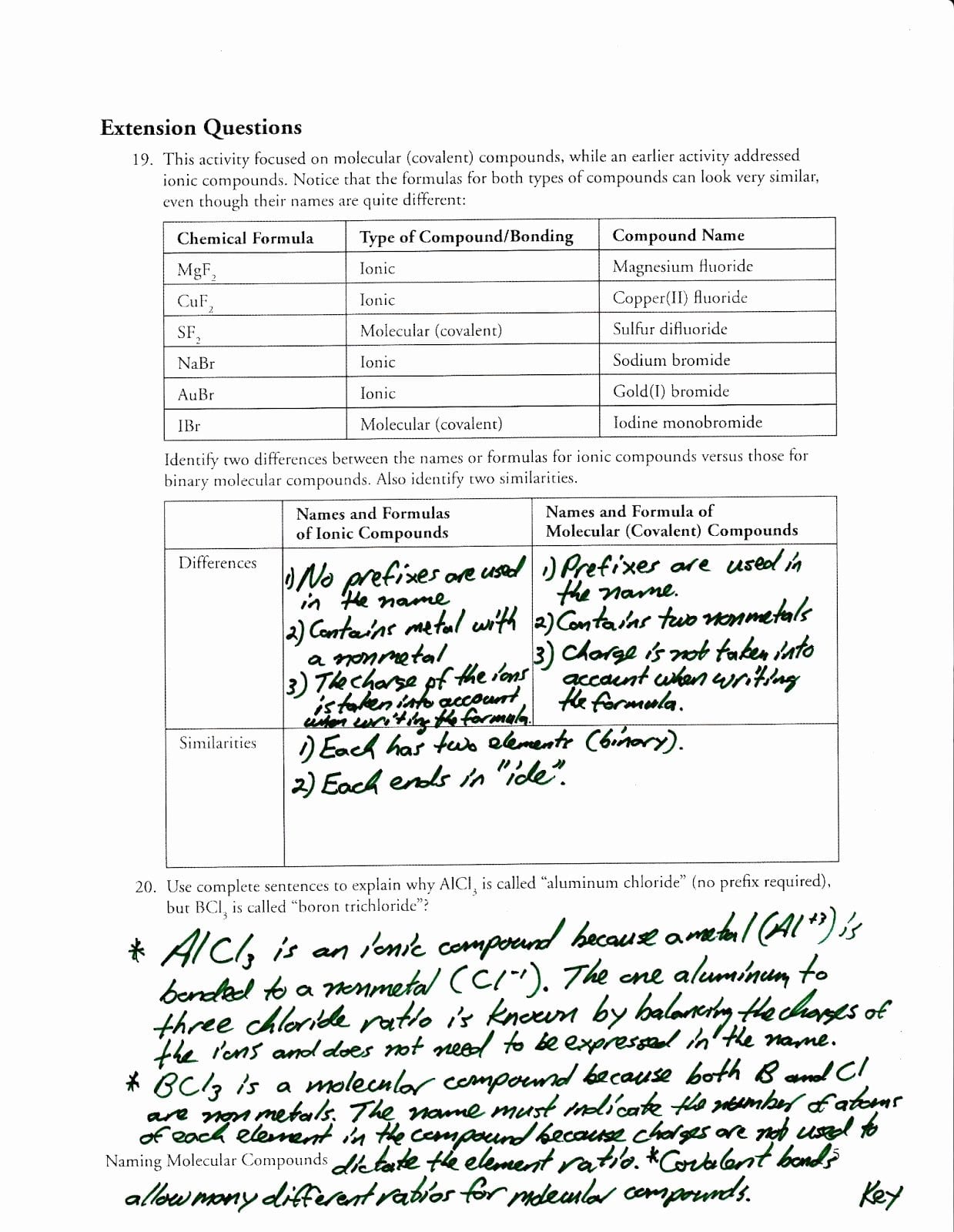 Protein Structure Pogil Worksheet Answers  Yooob Inside Protein Structure Pogil Worksheet Answers