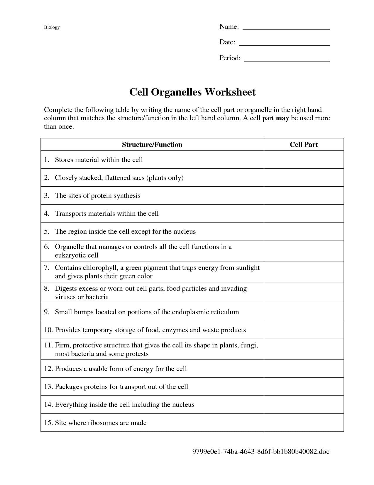Protein Synthesis And Amino Acid Worksheet  Briefencounters With Regard To Protein Synthesis And Amino Acid Worksheet