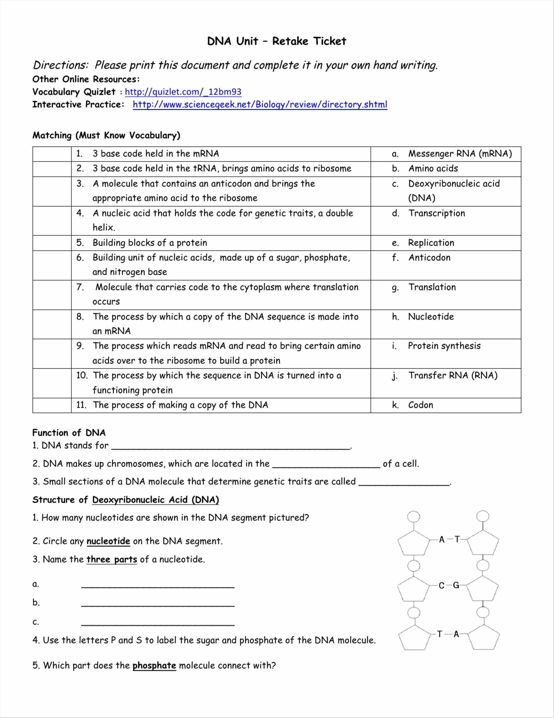 Protein Synthesis And Amino Acid Worksheet Math Worksheets Answers Inside Protein Synthesis And Amino Acid Worksheet Answer Key