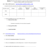 Protein Synthesis Webquest As Well As Protein Synthesis Webquest Worksheet Answer Key