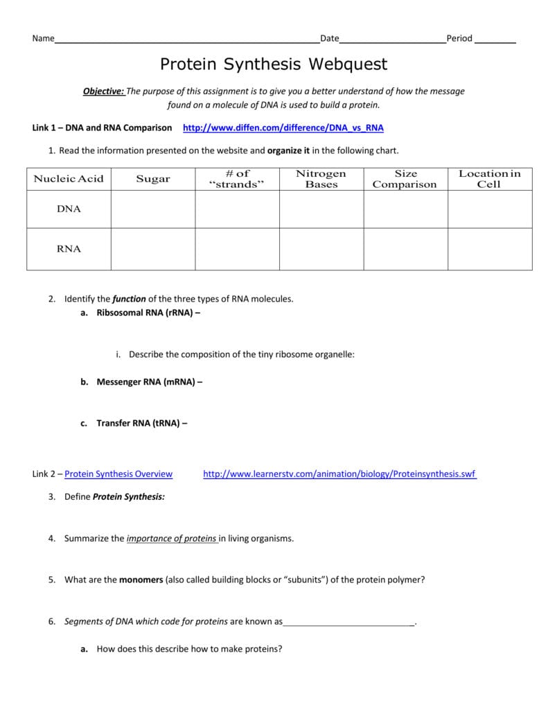 Protein Synthesis Webquest As Well As Protein Synthesis Webquest Worksheet Answer Key