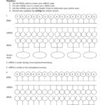 Protein Synthesis Worksheet Throughout Protein Synthesis And Amino Acid Worksheet
