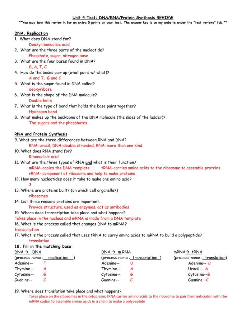 Protein Synthesis Worksheet – Wiring Diagram As Well As Worksheet On Dna Rna And Protein Synthesis Answer Key Quizlet