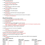 Protein Synthesis Worksheet – Wiring Diagram Inside Dna Unit Review Worksheet