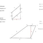 Proving Triangles Congruent Worksheet Answers  Worksheet Idea Template Along With Cpctc Proofs Worksheet With Answers