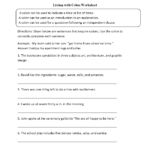 Punctuation Worksheets  Colon Worksheets Throughout Punctuation Practice Worksheets With Answers