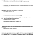 Punnett Square Practice Problems As Well As Punnett Square Practice Problems Worksheet