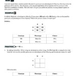 Punnett Square Practice Problems Worksheet  Briefencounters Or Punnett Square Practice Problems Worksheet