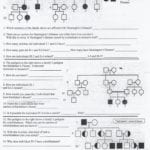 Punnett Square Worksheet 1 Answer Key  Briefencounters Within Genetics Problems Worksheet 1 Answer Key
