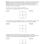Punnett Square Worksheet Inside Punnett Square Practice Problems Worksheet