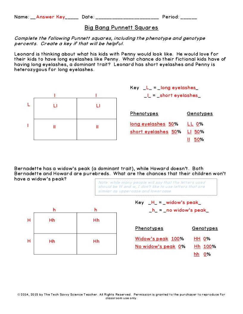 Punnett Square Worksheet – Wiring Diagram Within Punnett Square Worksheet 1 Key