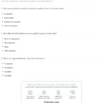 Quiz  Worksheet  Activities For Kids Learning English  Study Also Basic English Learning Worksheets