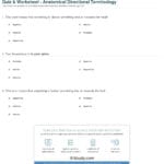 Quiz  Worksheet  Anatomical Directional Terminology  Study Inside Comprehending Anatomy And Physiology Terminology Worksheet Answers