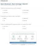 Quiz  Worksheet  Basic Greetings In Spanish  Study With Spanish Worksheets For Beginners