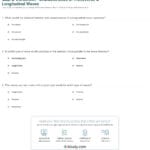 Quiz  Worksheet  Characteristics Of Transverse  Longitudinal And Wave Review Worksheet Answers