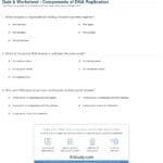 Quiz  Worksheet  Components Of Dna Replication  Study For Dna Matching Worksheet