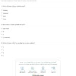 Quiz  Worksheet  Decoding Multisyllabic Words  Study Throughout Decoding Multisyllabic Words Worksheets