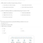 Quiz  Worksheet  Double Helix Structure And Hereditary Molecule Intended For Dna The Double Helix Worksheet Answer Key