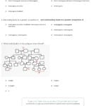 Quiz  Worksheet  Effects Of Inbreeding  Study Pertaining To Sickle Cell Anemia Worksheet Answers