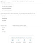Quiz  Worksheet  Food Chain Facts For Kids  Study With Regard To Food Web Worksheet Pdf