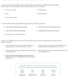 Quiz  Worksheet  Fossil Fuels Greenhouse Gases  Global Warming Within Global Warming Worksheet