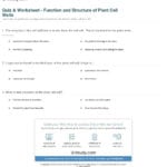 Quiz  Worksheet  Function And Structure Of Plant Cell Walls Regarding Plant Cell Worksheet