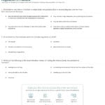 Quiz  Worksheet  Homeostasis And Temperature Regulation In Humans And Skin And Temperature Control Worksheet Answers