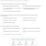 Quiz  Worksheet  Impact Of Supply And Demand On Market Equilibrium With Regard To Supply And Demand Worksheet Answers