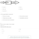 Quiz  Worksheet  Introduction To Functions  Study With Introduction To Functions Worksheet