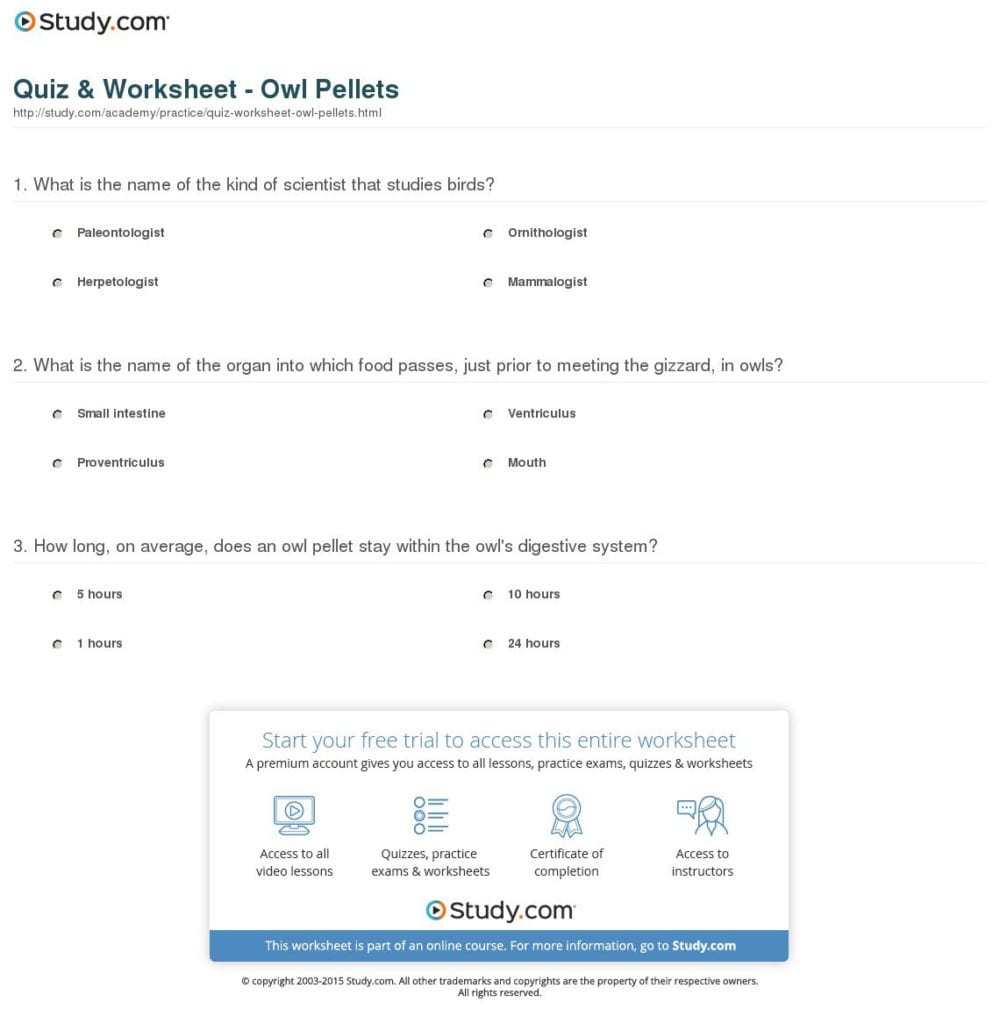 owl-pellet-dissection-worksheet-excelguider