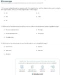 Quiz  Worksheet  Parts And Uses Of The Compound Microscope  Study Regarding Microscope Parts And Use Worksheet