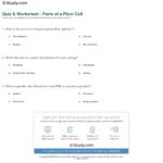 Quiz  Worksheet  Parts Of A Plant Cell  Study Or Plant Cell Worksheet