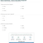 Quiz  Worksheet  Parts Of The Body In Spanish  Study Together With Spanish Worksheets For Beginners Pdf