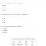 Quiz  Worksheet  Ribosomes  Protein Synthesis  Study Inside Protein Synthesis Review Worksheet Answers