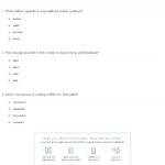 Quiz  Worksheet  Ribosomes  Protein Synthesis  Study Or Protein Synthesis Worksheet